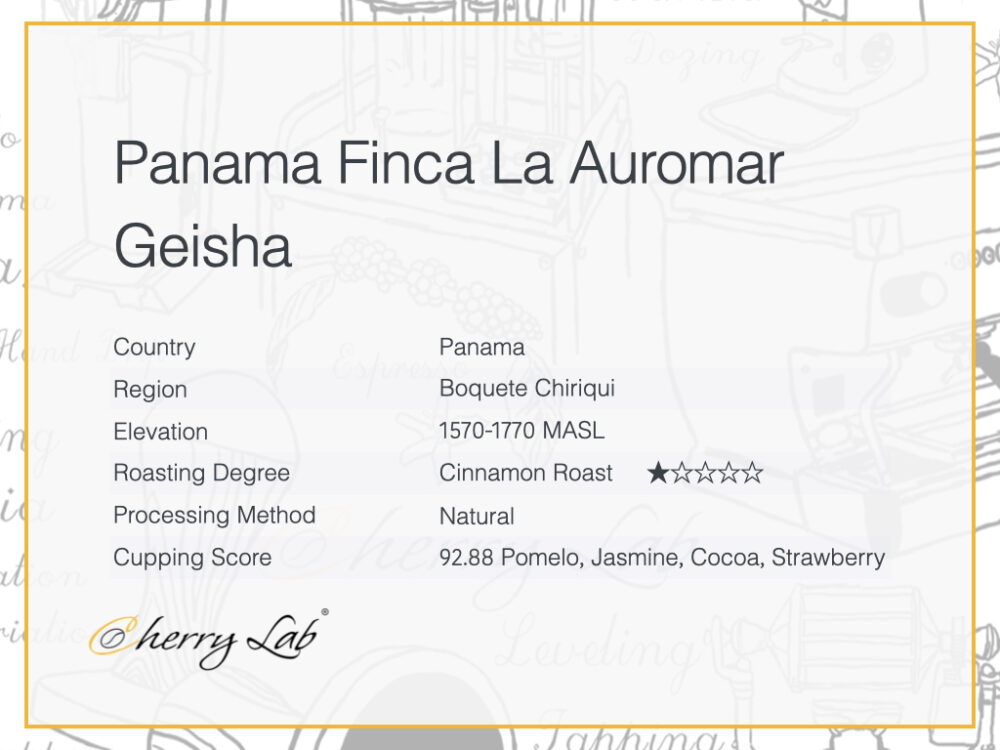 Panama Finca La Auromar Geisha 2 4