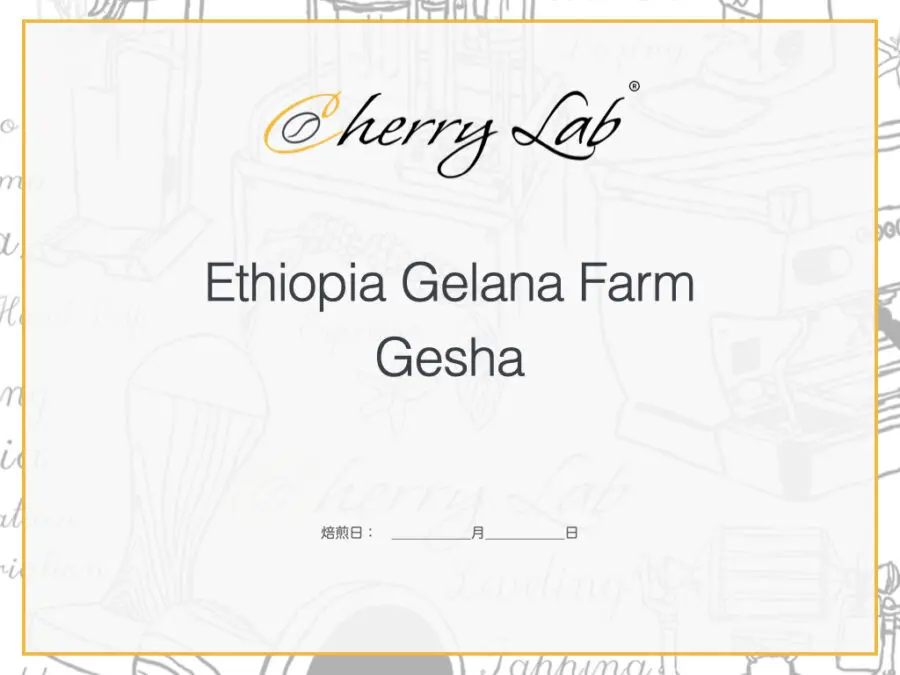Ethiopia - 受注焙煎コーヒー専門店 - Cherry Lab Coffee