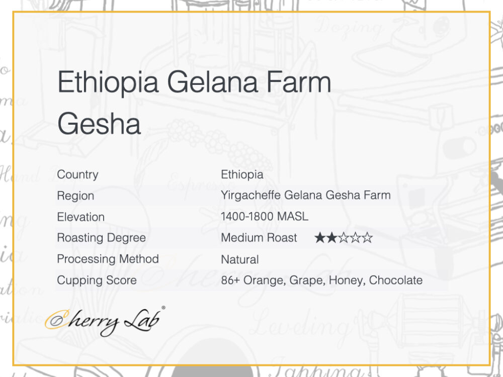 Ethiopia Gelana Farm Gesha 2 7