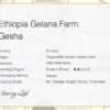 Ethiopia Gelana Farm Gesha 5 7