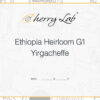 Ethiopia Heirloom G1 Yirgacheffe 4 7