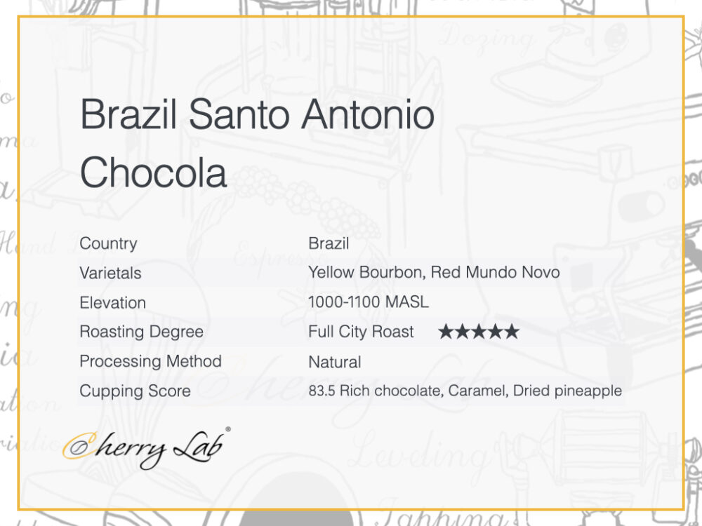 Brazil Santo Antonio Chocola 2 7