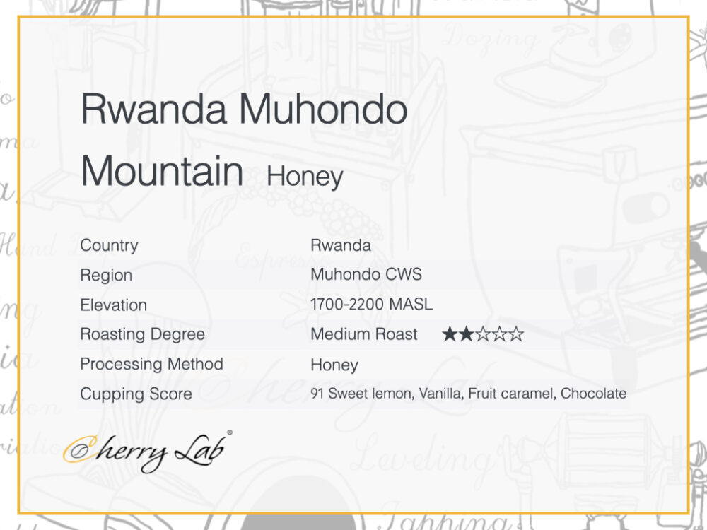 Rwanda Muhondo Mountain - Honey 2 7
