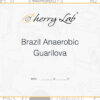 Brazil Anaerobic Guarilova 4 7