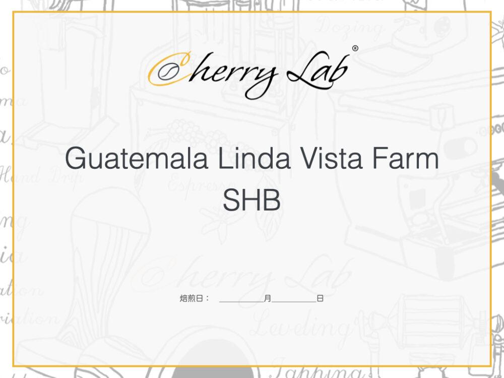 Guatemala Linda Vista Farm SHB 1 7