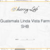 Guatemala Linda Vista Farm SHB 4 7