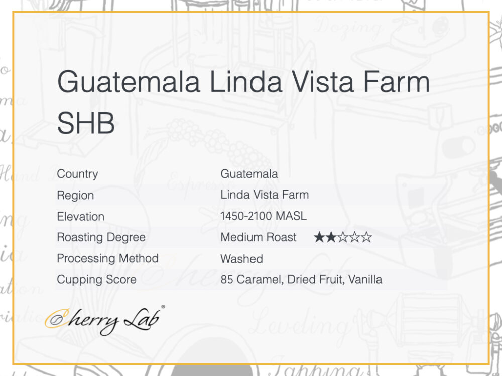 Guatemala Linda Vista Farm SHB 2 7