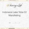 Indonesia Lake Toba G1 Mandheling 4 7