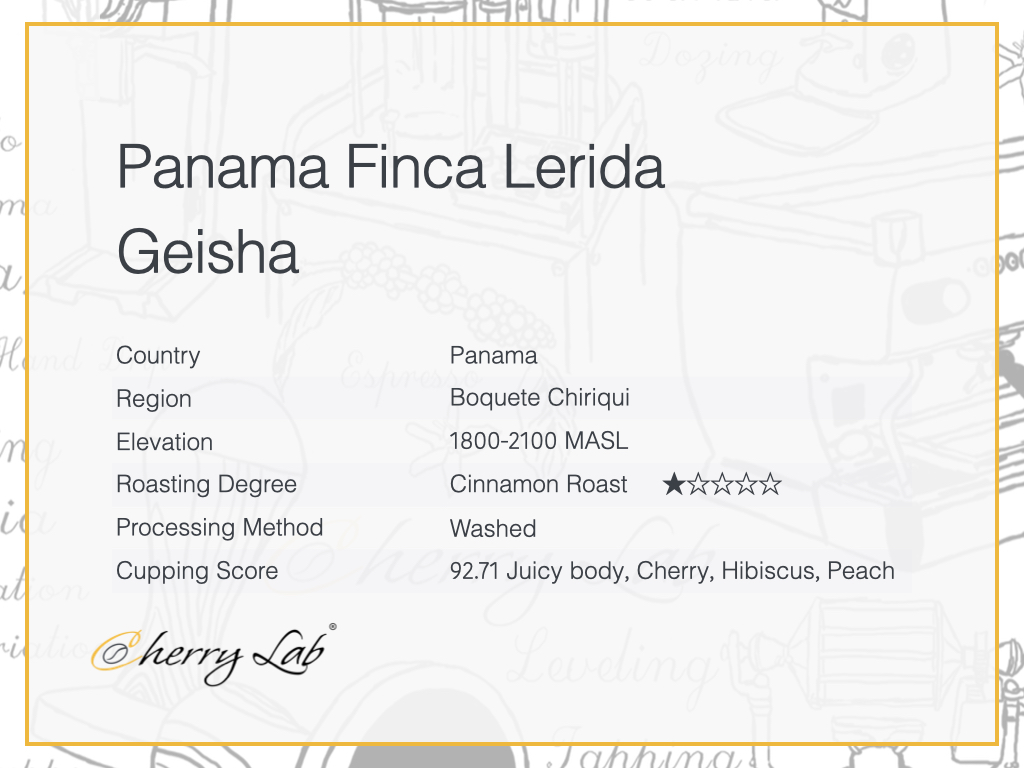 Panama Finca Lerida Geisha Brew