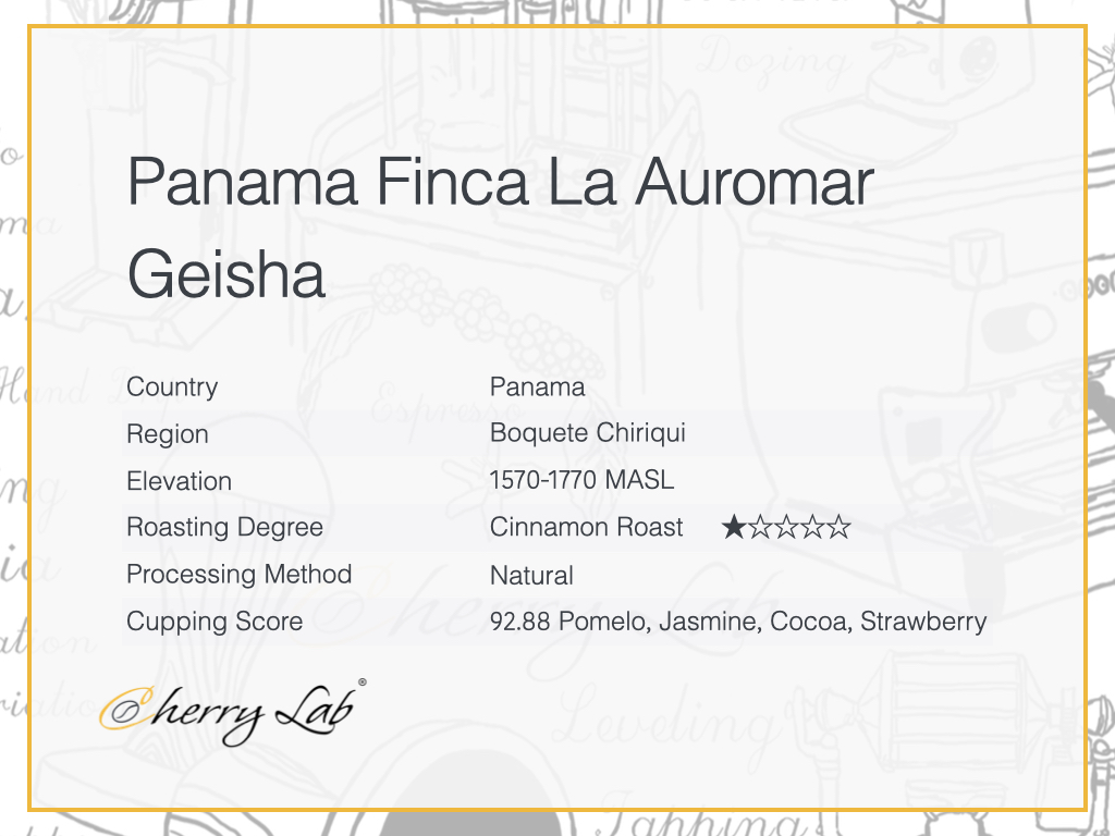 Panama Finca La Auromar Geisha Brew