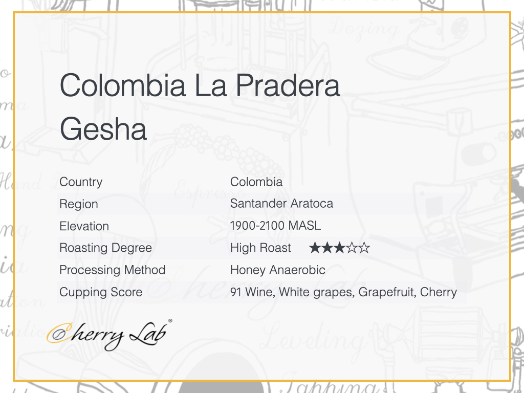 Colombia La Pradera Gesha Brew