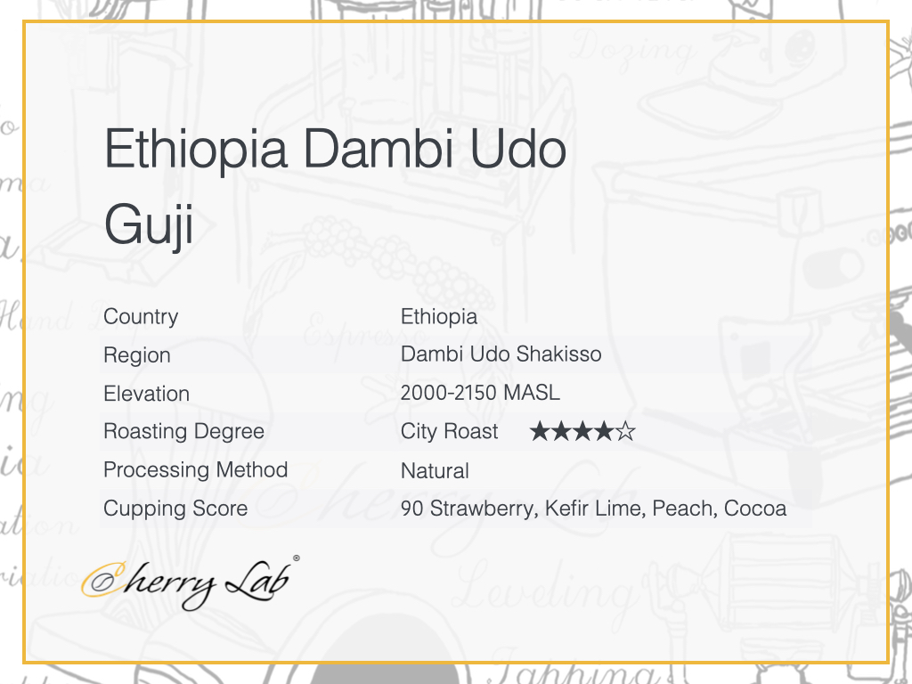 Ethiopia Dambi Udo Guji Brew