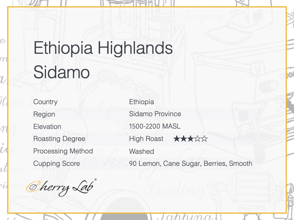 Ethiopia Highlands Sidamo Brew