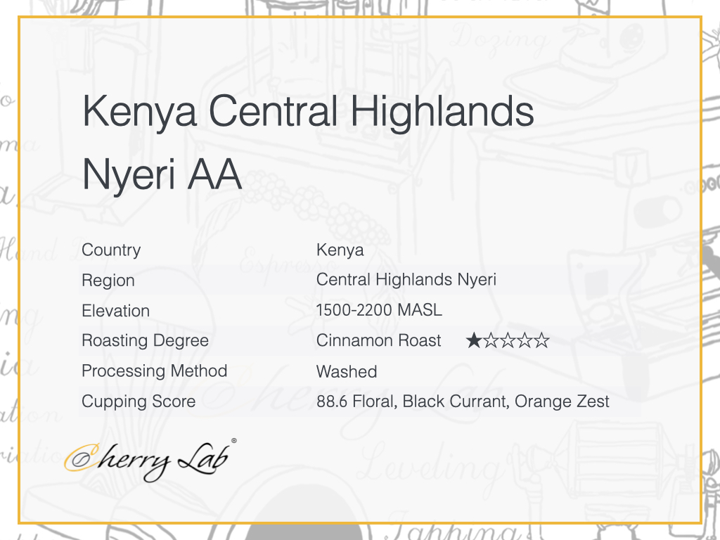 Kenya Central Highlands Nyeri AA Brew