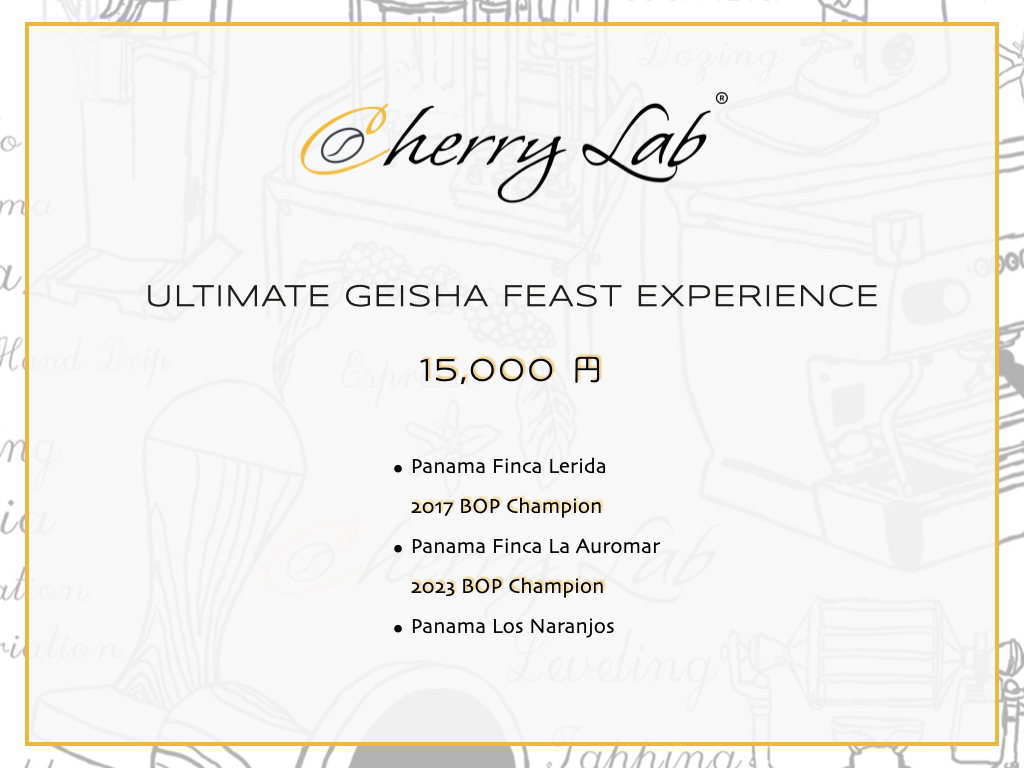 Ultimate Geisha Feast Experience