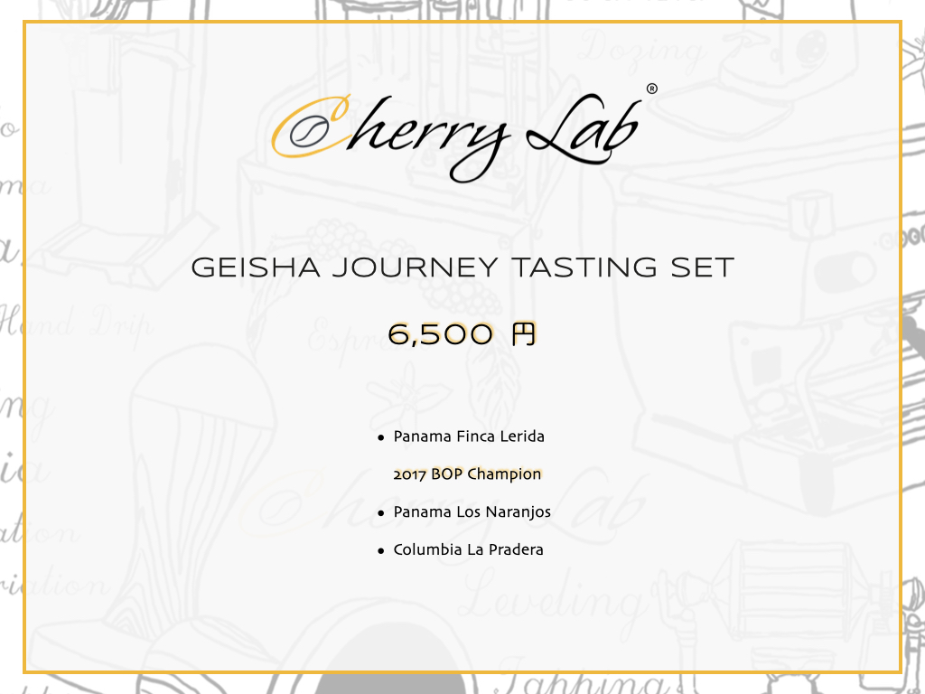 Geisha Journey Tasting Set