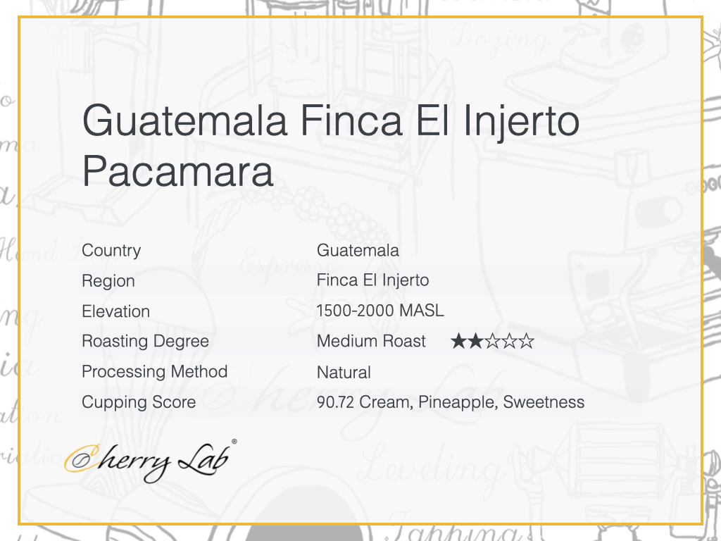 Guatemala Finca El Injerto Pacamara Brew